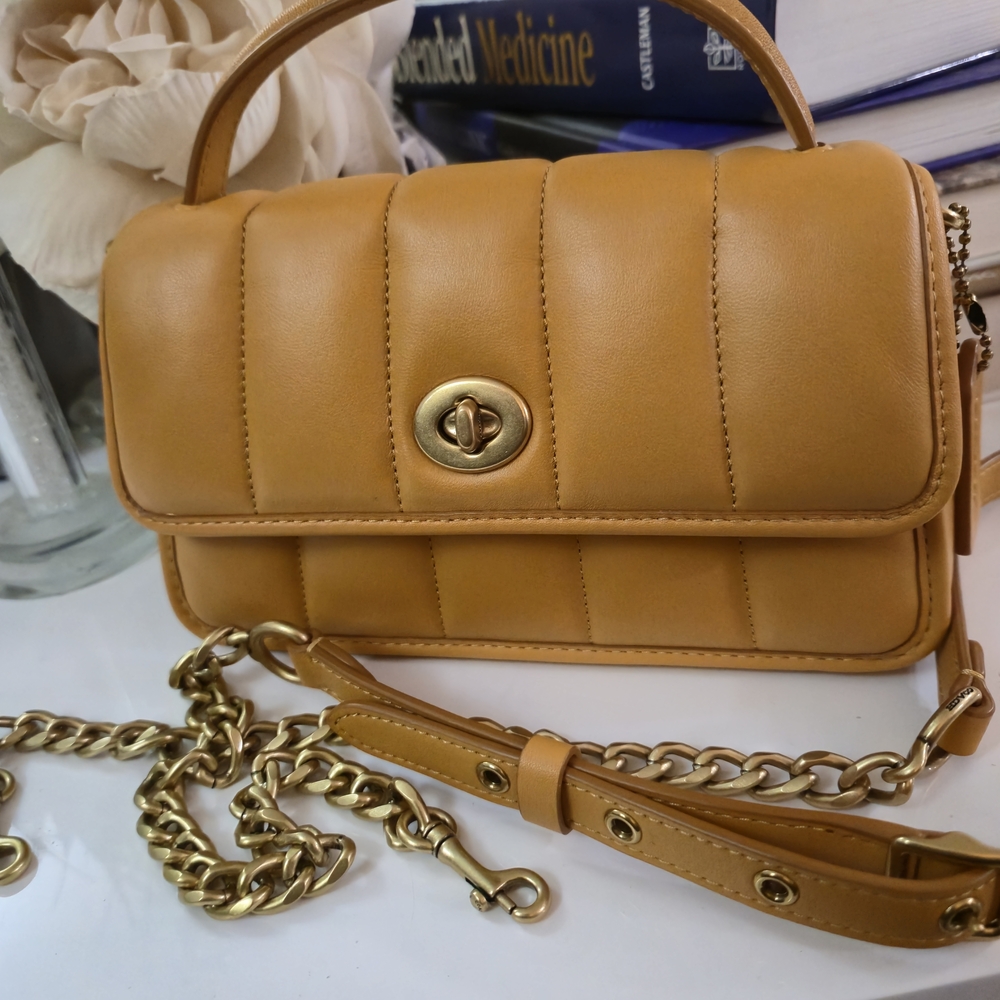 Coach Turnlock Clutch 20 Leather Crossbody Bag